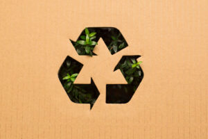 Cardboard with a recycling symbol cutout, revealing vibrant green leaves through the cutout—a perfect representation of eco-friendly warehousing practices.